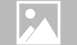 布丁漫画,趣味横生的日常喜剧之旅